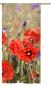 Preview: Sommermohn, Schlaufenschal